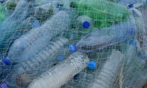 Plastique bioplastique et biodégradable : les différences et les avantages