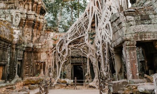 Les réservations à faire avant un voyage au Cambodge ?
