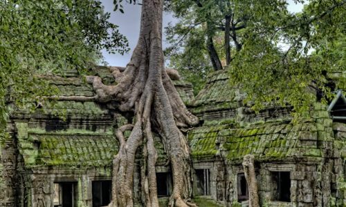 Choisir le Cambodge comme destination de vacances ?