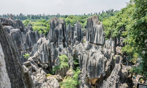 Quels parcs nationaux visiter pendant votre voyage à Madagascar ?
