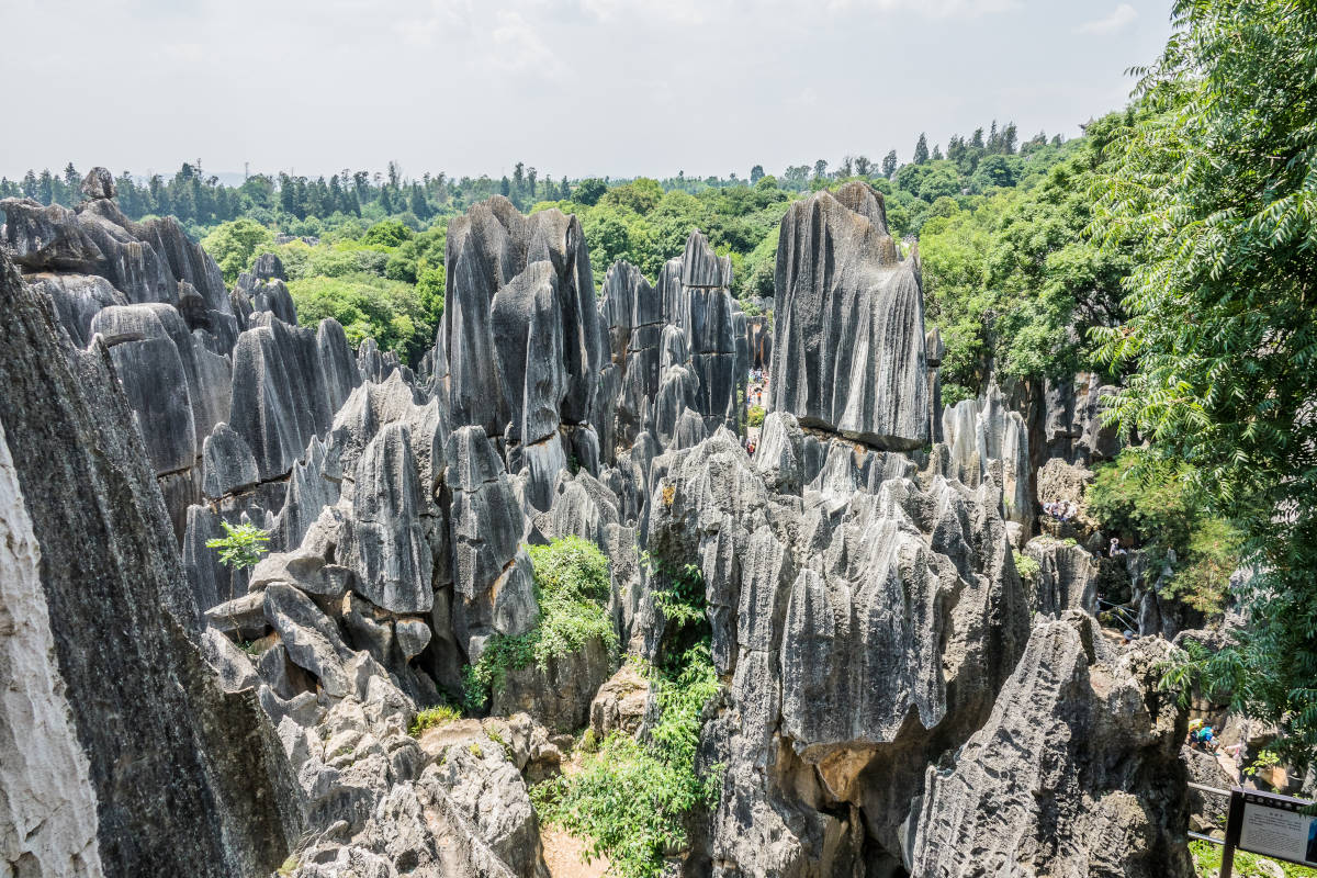 Tsingy de Bemaraha, parc national de Madagascar